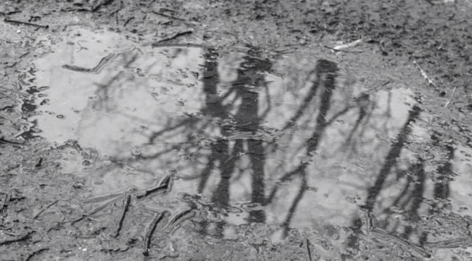 The Devil (K. Prada , J. Prada)  Spain